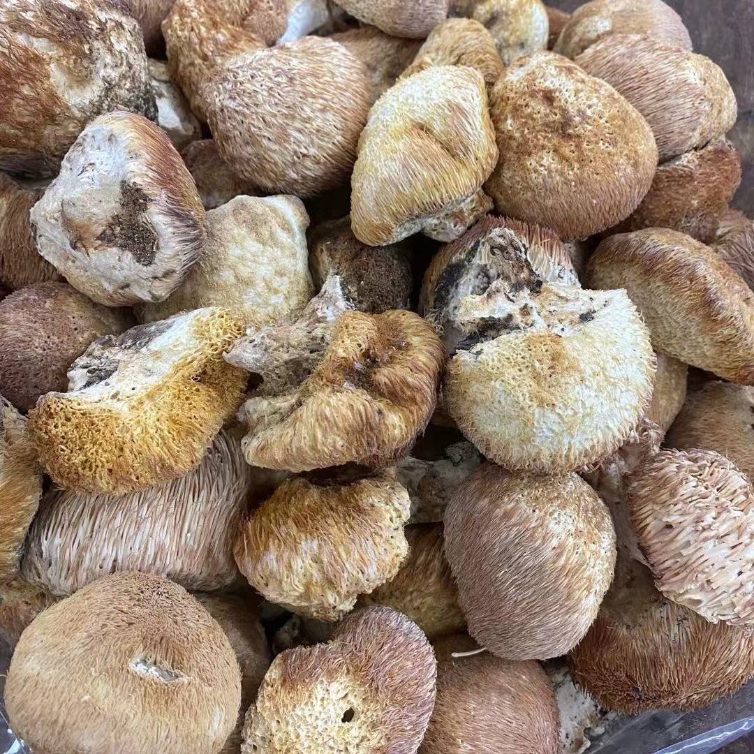 猴头菇多少钱一斤(猴头菇多少钱一斤干货)
