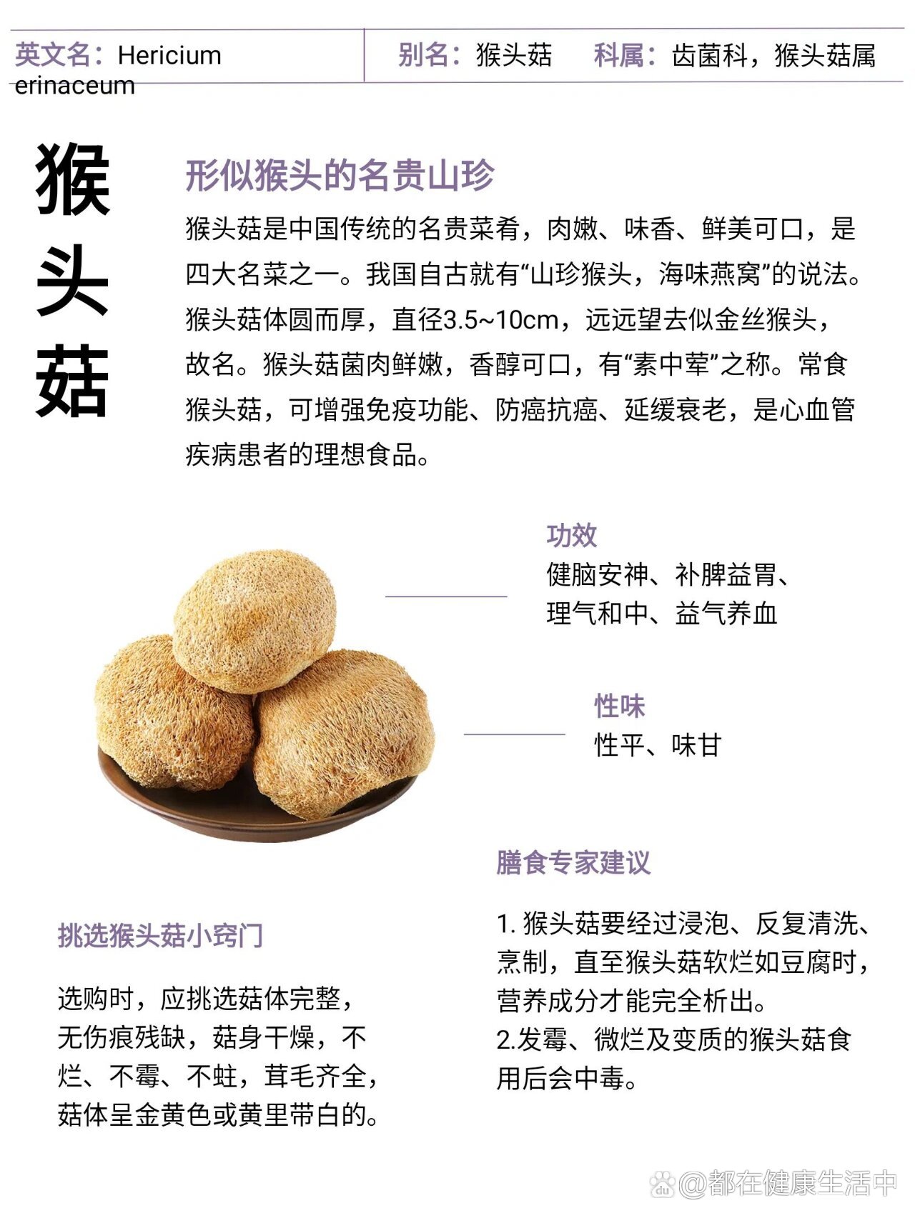 猴头菇多少钱一斤(猴头菇多少钱一斤干货)