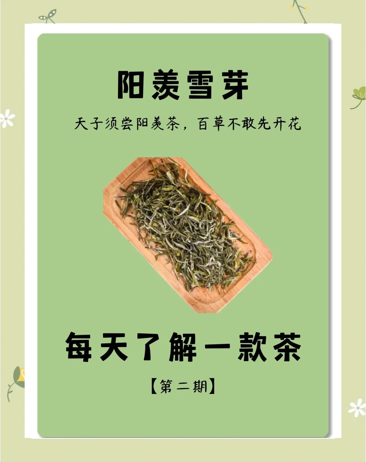 雪茶的功效与作用(红雪茶的功效与作用)