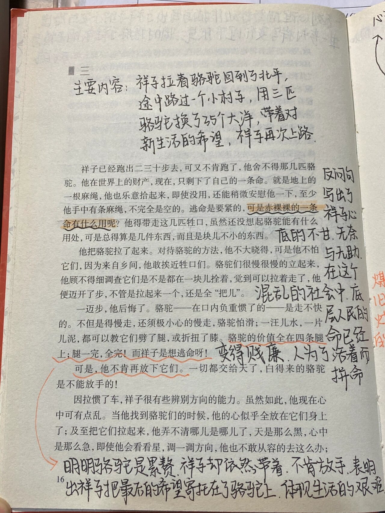 骆驼祥子第24章批注(骆驼祥子第24章的批注)