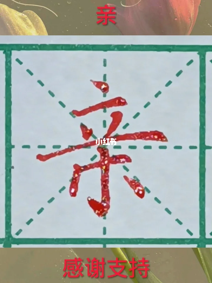 亲拼音(亲朋拼音)