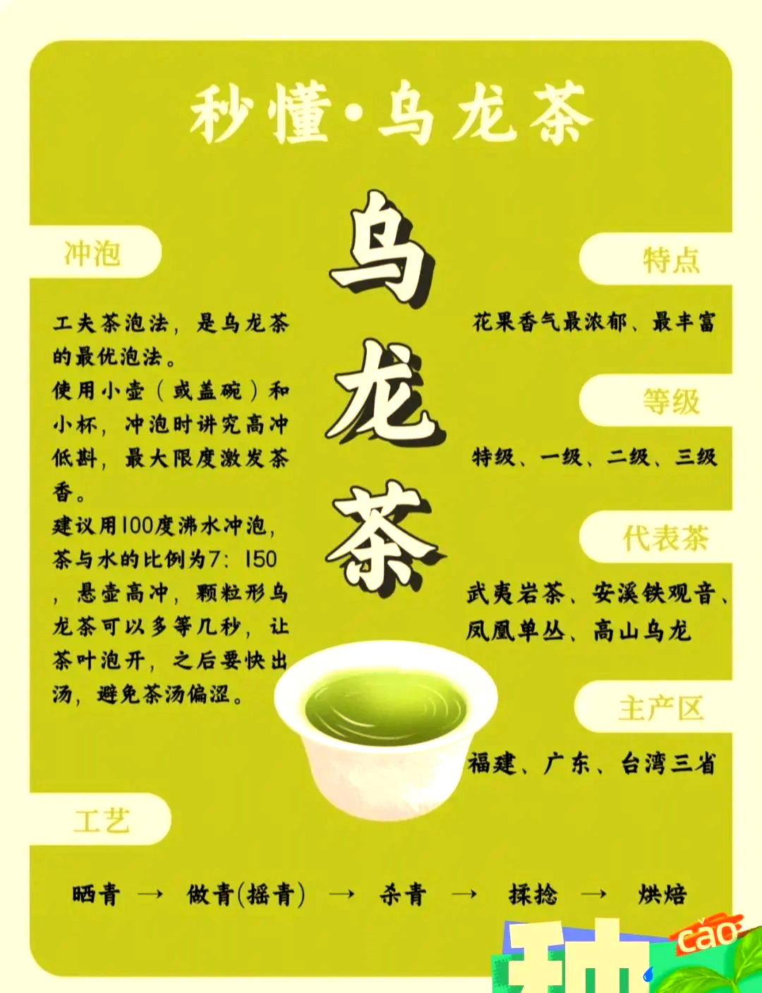 生理期可以喝乌龙茶吗(生理期可以喝乌龙茶吗,有什么作用)