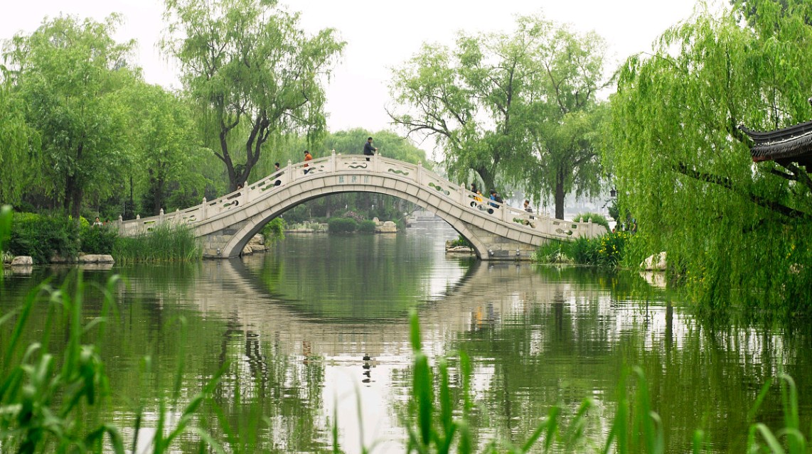 10种代表春天特色的景物(10种代表春天特色的景物有哪些)