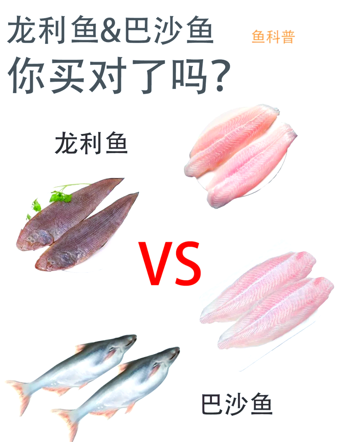 龙利鱼是发物吗(龙利鱼是发物吗?)