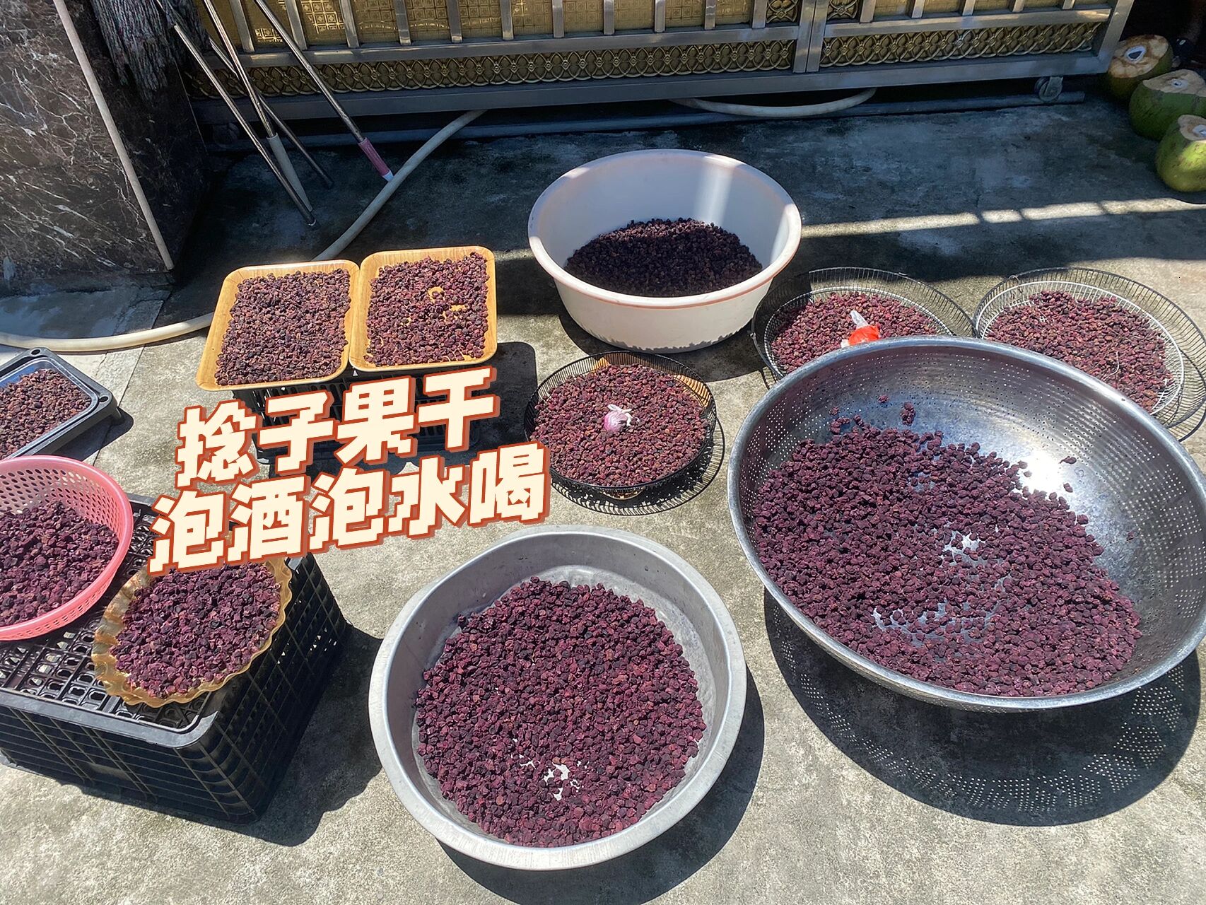 雀梅果泡酒喝有什么功效(雀梅果泡酒喝有什么功效呢)
