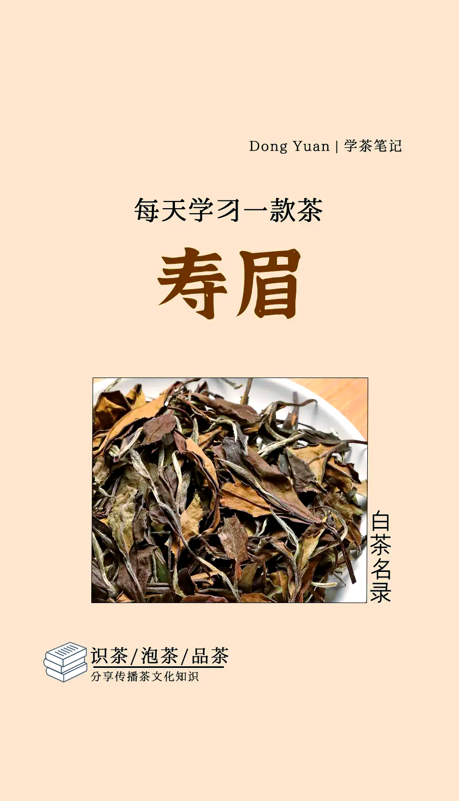 福建白茶功效与作用(福建白茶的功效与作用及禁忌)
