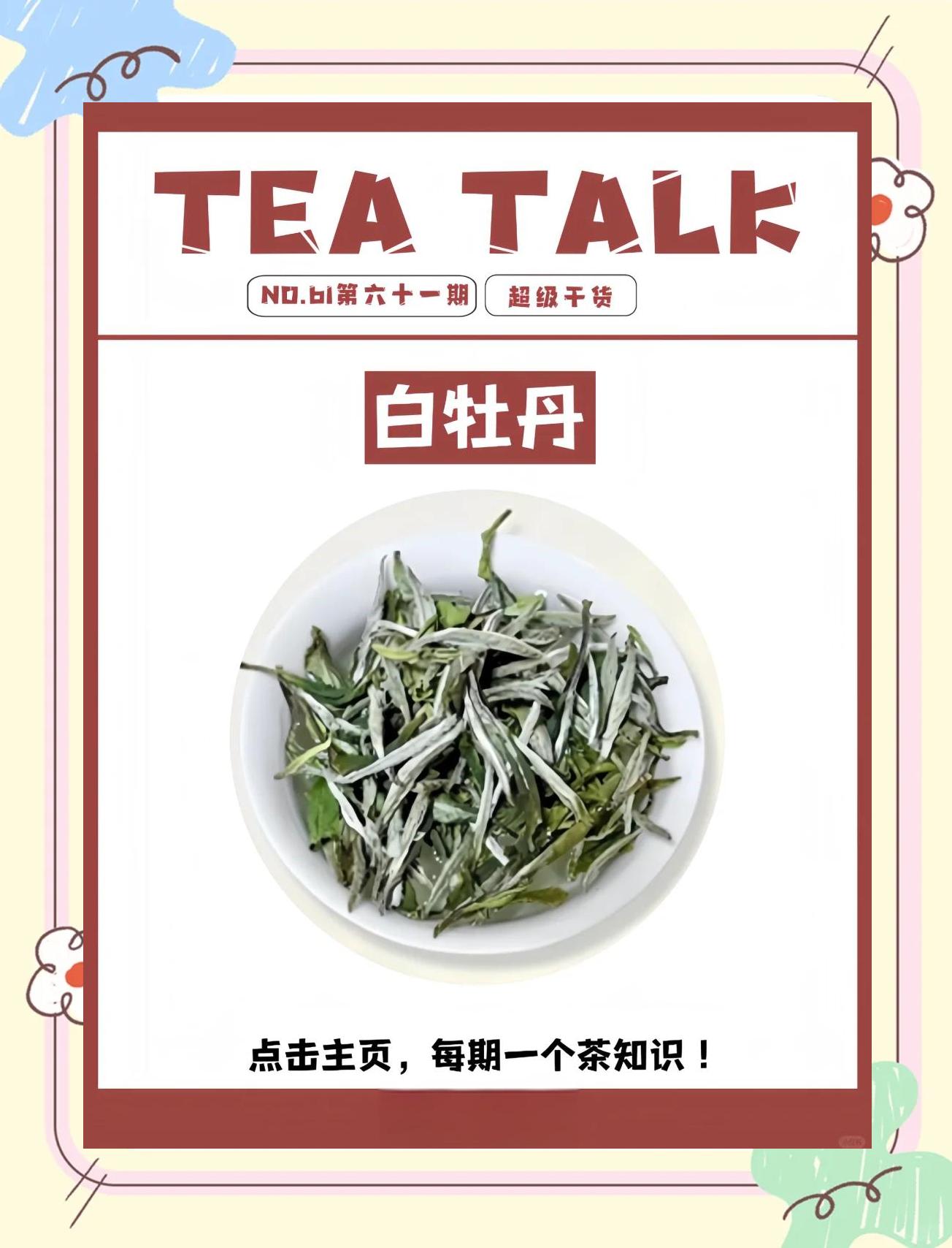 福建白茶功效与作用(福建白茶的功效与作用及禁忌)