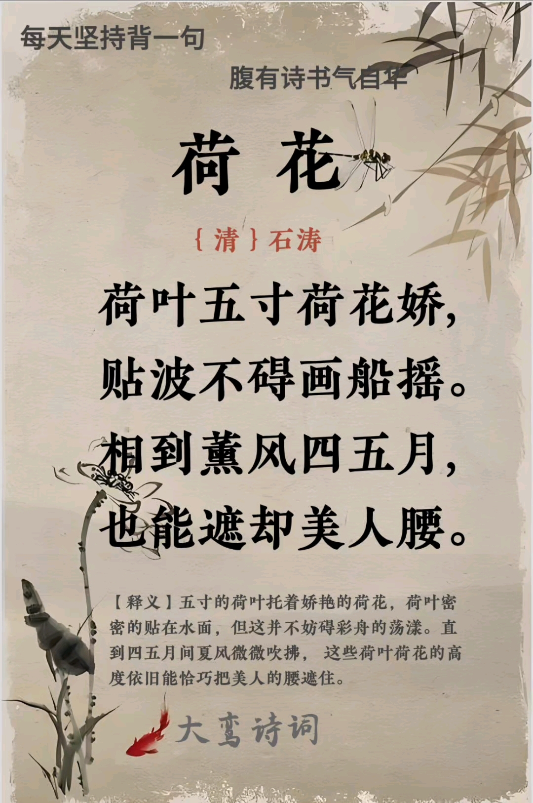 荷花的励志格言(荷花的励志格言有哪些)
