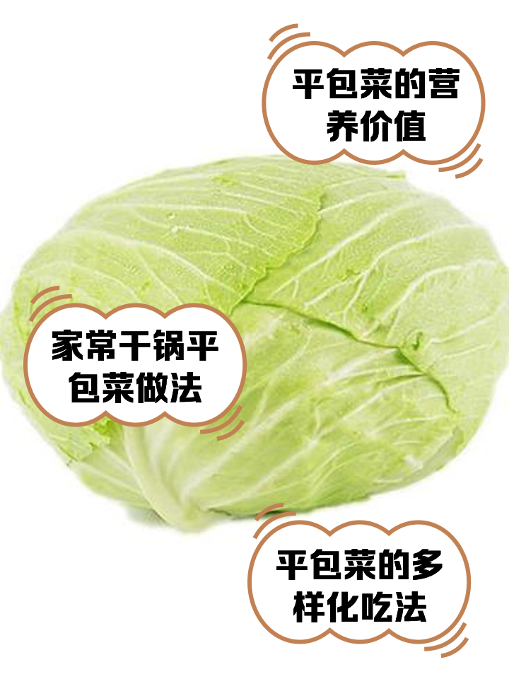 高丽菜与包菜的区别(高丽菜和卷心菜的区别)
