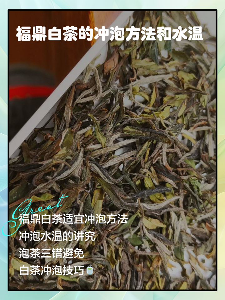 泡白茶的方法步骤(白茶泡茶的步骤视频)