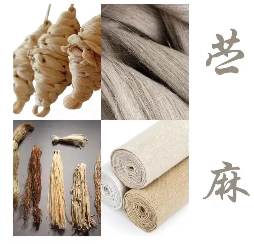 苎麻和亚麻哪个好(亚麻和苧麻哪个最适合做服装)
