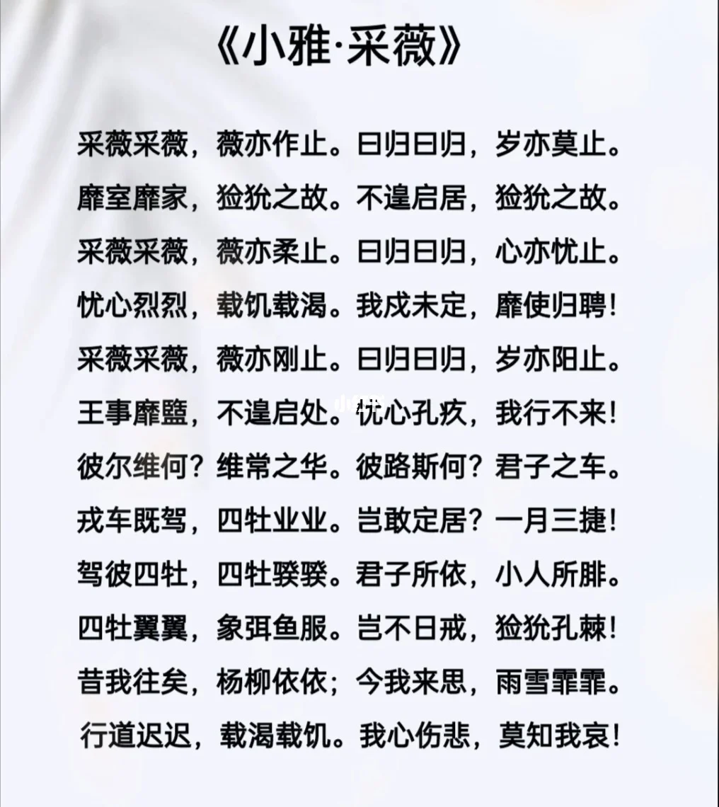 采薇作者(采薇作者资料)