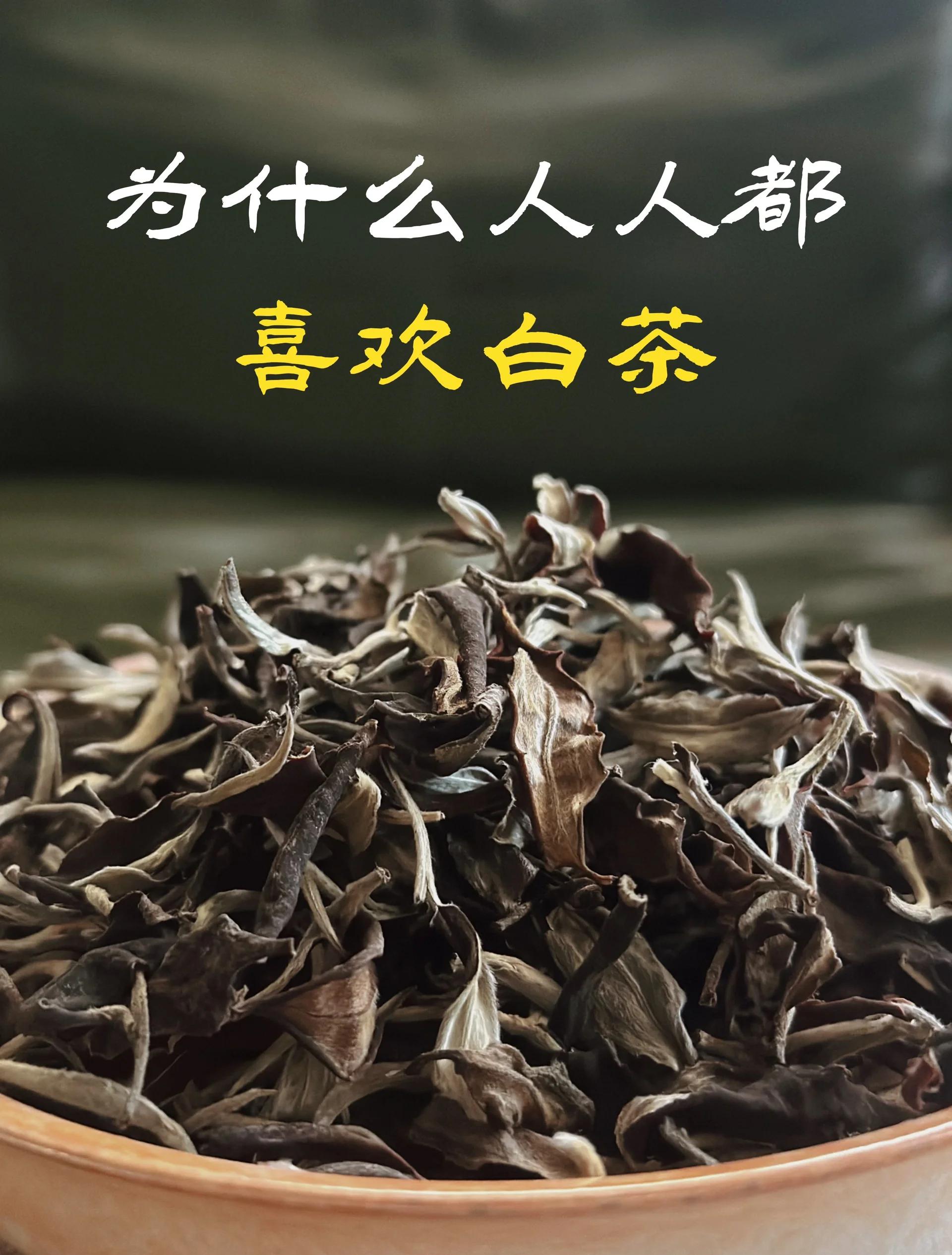 白茶的六大功效(白茶的六大功效是什么)