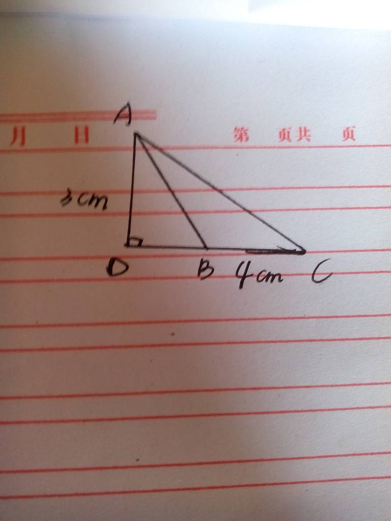 钝角是什么意思网络用语(钝角是什么意思网络用语怎么说) 钝角是什么意思网络用语(钝角是什么意思网络用语怎么说)