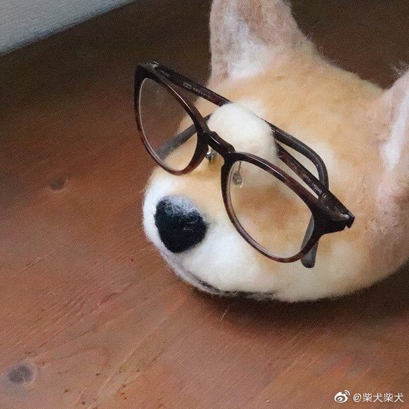 关于兽世逮捕令小萌宠别跑免费阅读的信息 关于兽世逮捕令小萌宠别跑免费阅读的信息