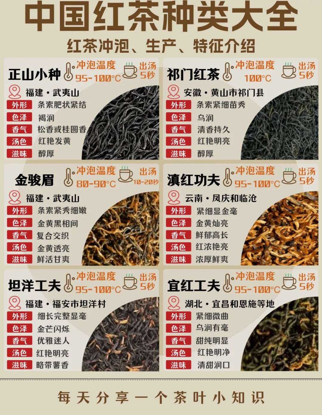 荔枝红茶的功效与作用(荔枝红茶的功效与作用禁忌)