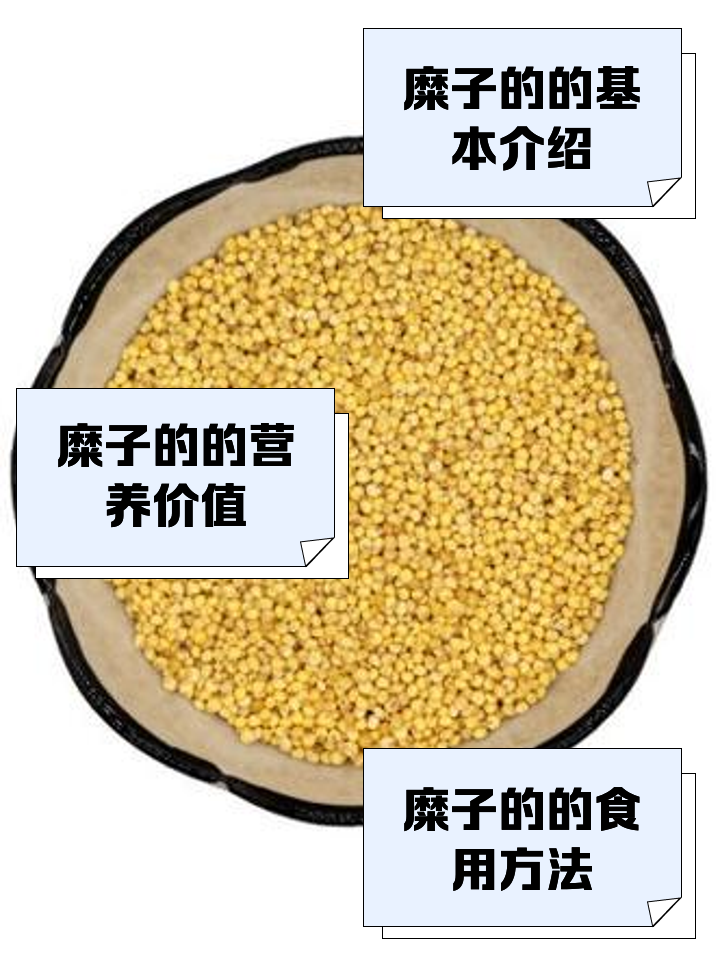 黍的拼音(黍的拼音和意思) 黍的拼音(黍的拼音和意思)