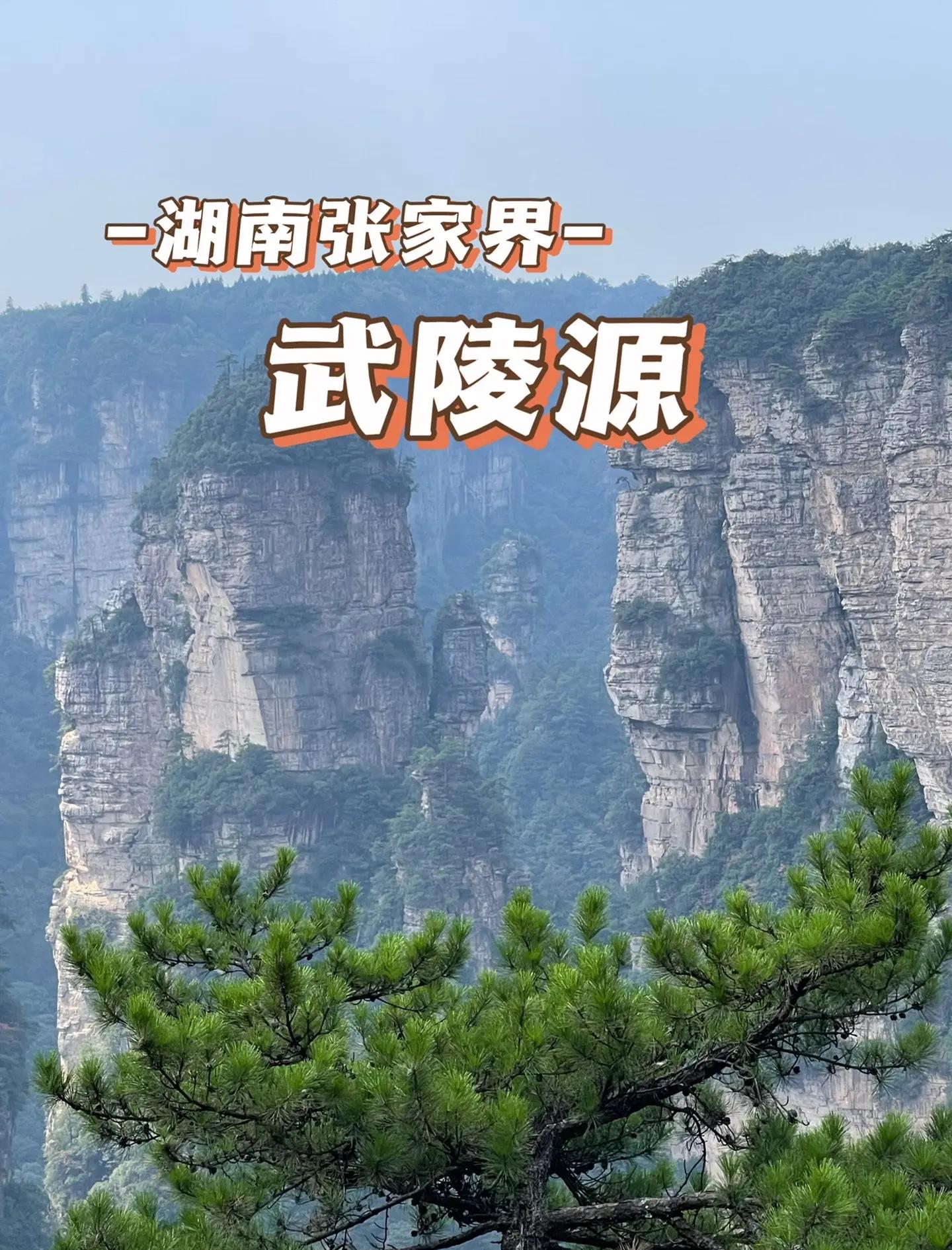 张家界离长沙远吗(长沙最建议去三个地方) 张家界离长沙远吗(长沙最建议去三个地方)