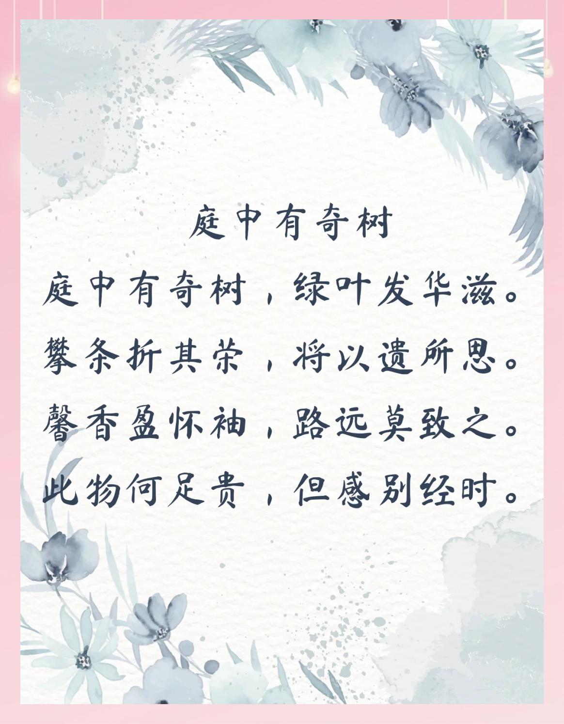 别树一帜是什么意思(别树一帜是什么意思呢怎么读)