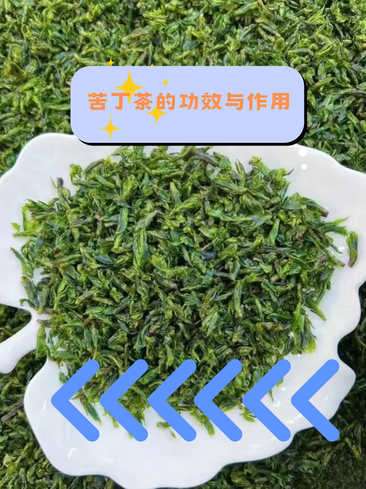 女性喝苦丁茶的作用(女性喝苦丁茶有没有什么坏处)