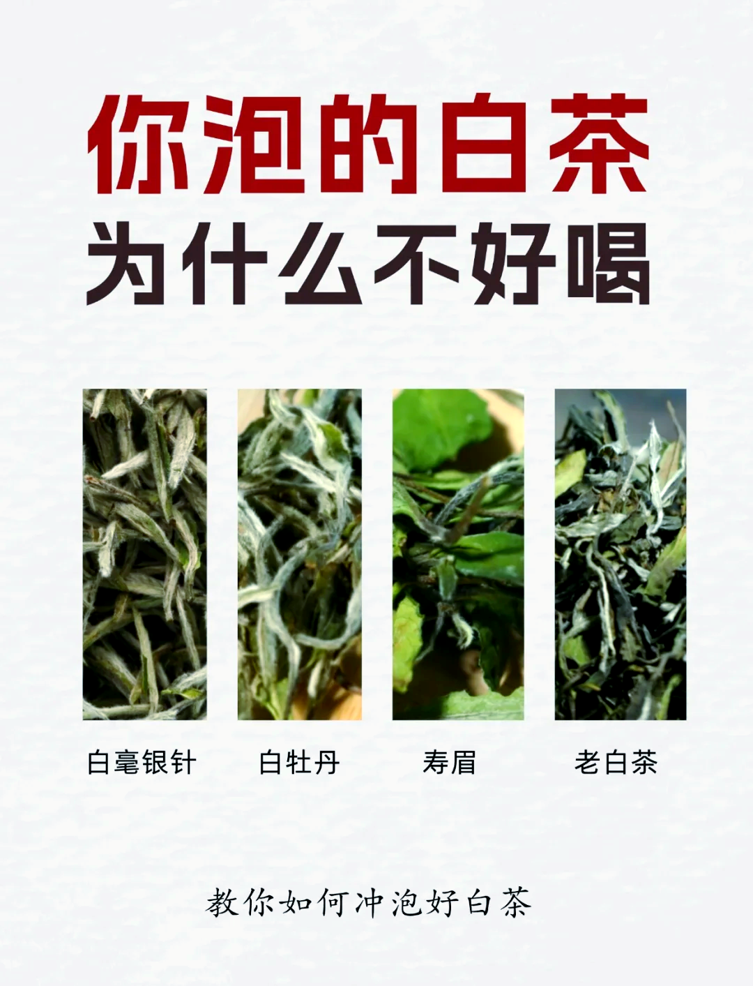 白茶功效的好处(白茶功效的好处与作用)