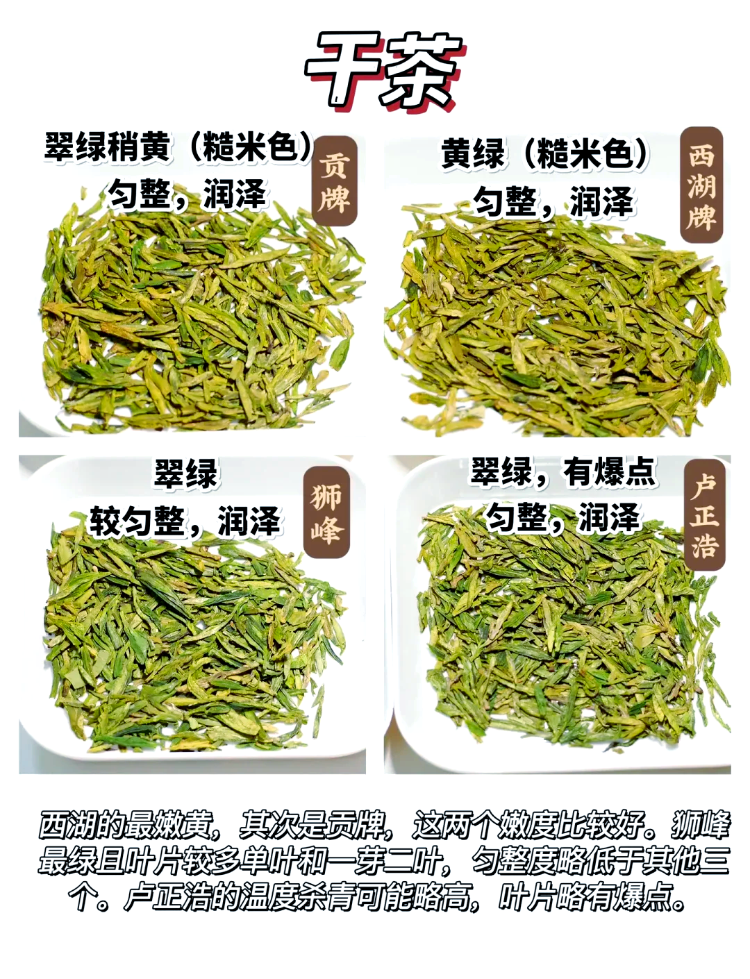 西湖龙井茶的特点和功效(西湖龙井茶的功效与作用?)