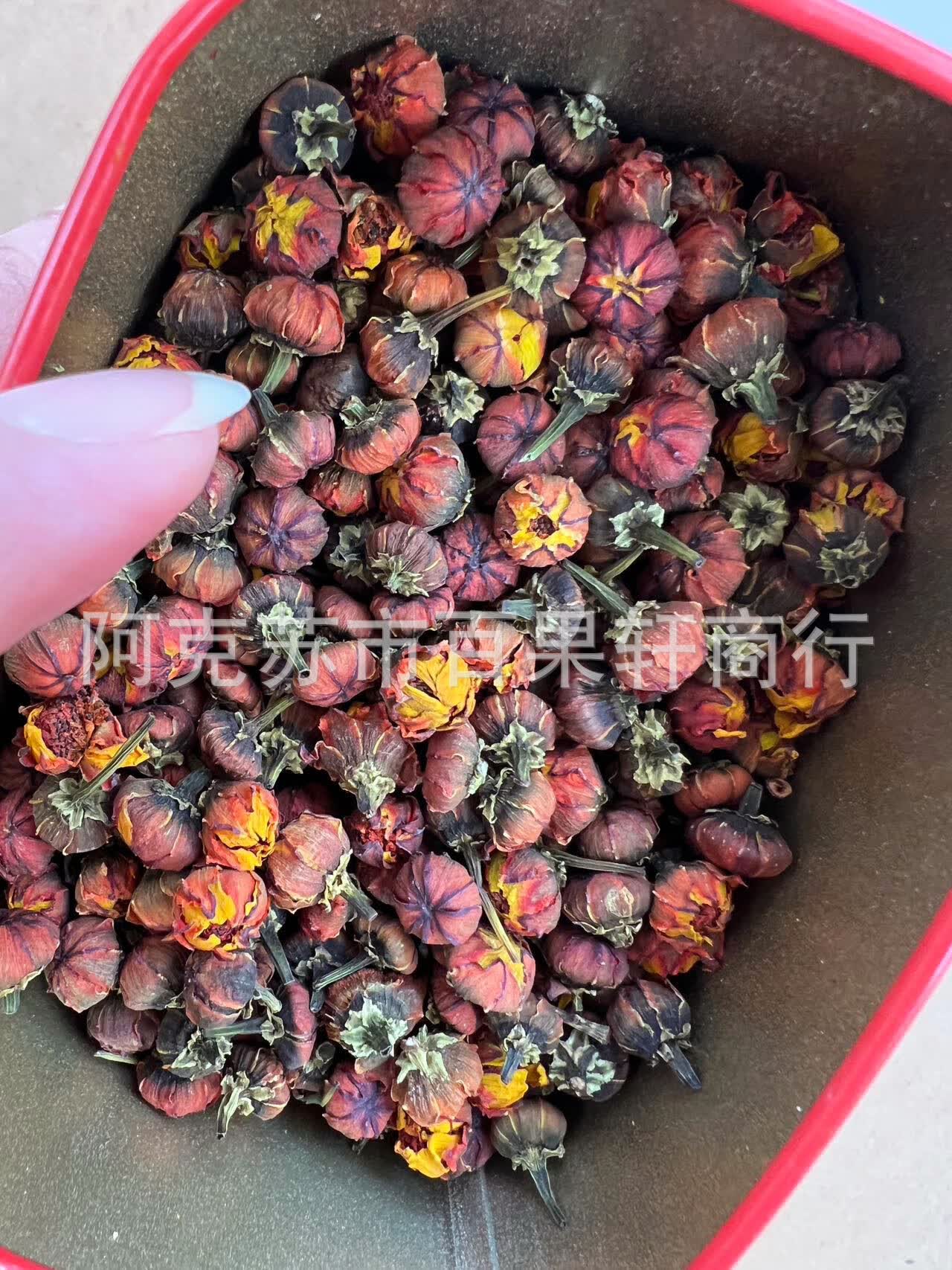 昆仑胎菊的功效与作用(昆仑胎菊的功效与作用及副作用)