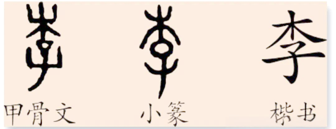 李部首(李部首是子吗) 李部首(李部首是子吗)