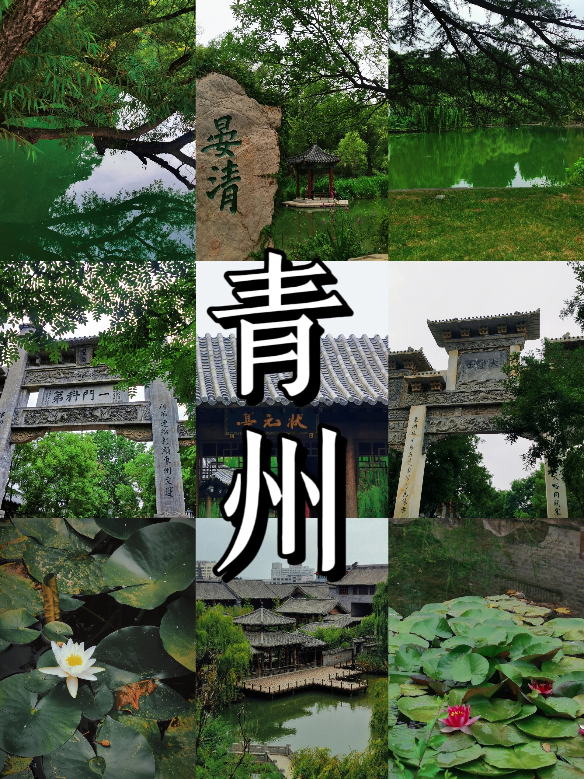 青州属于山东哪个市(青州最建议去三个地方) 青州属于山东哪个市(青州最建议去三个地方)