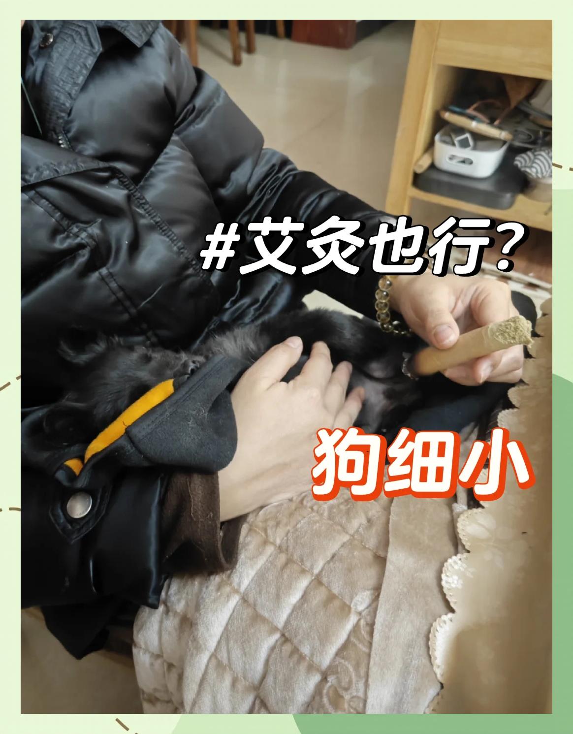 治疗狗狗细小的土方法(治疗狗狗细小的土方法方法)