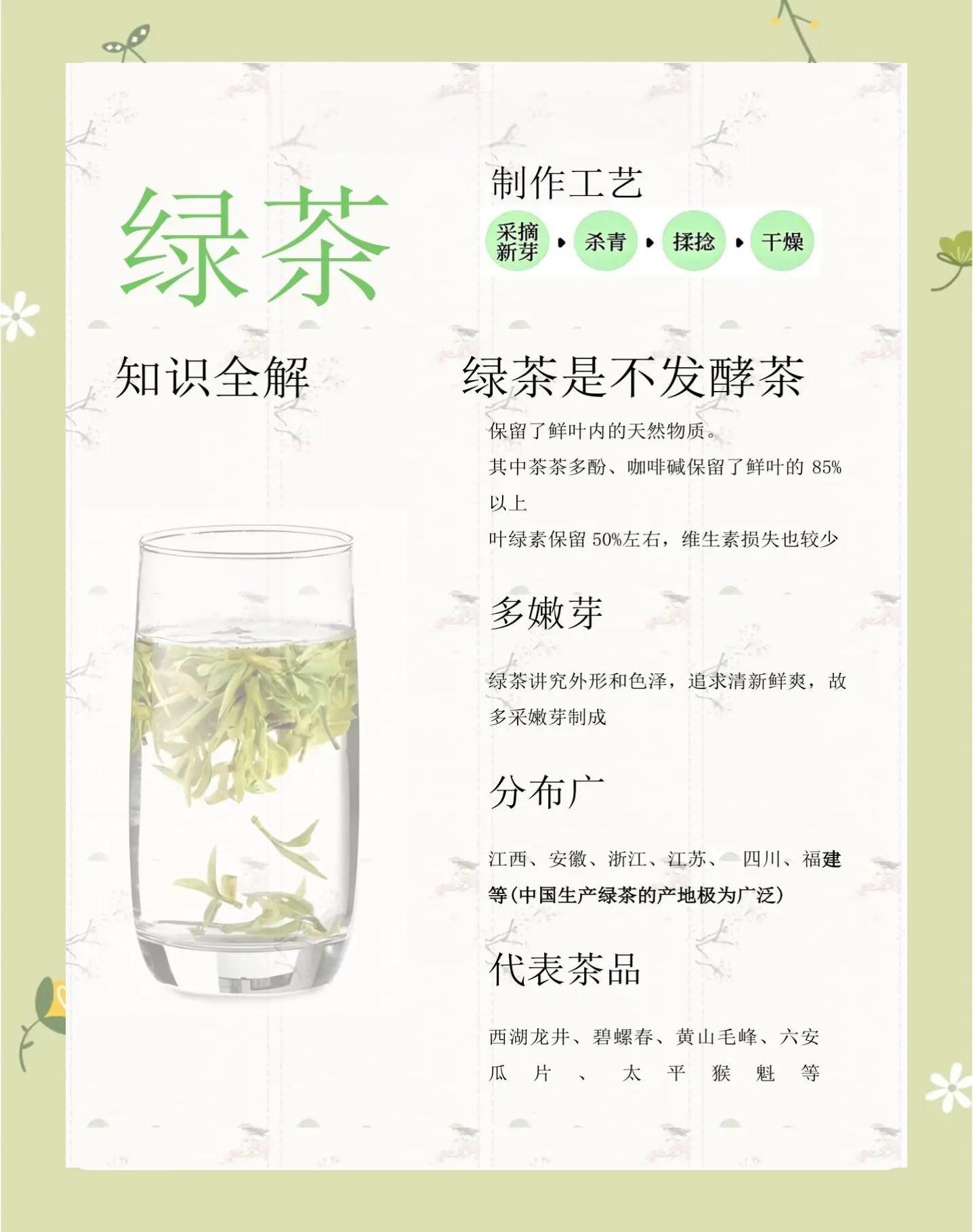 红茶绿茶的功效与作用(红茶绿茶的功效与作用有何区别)