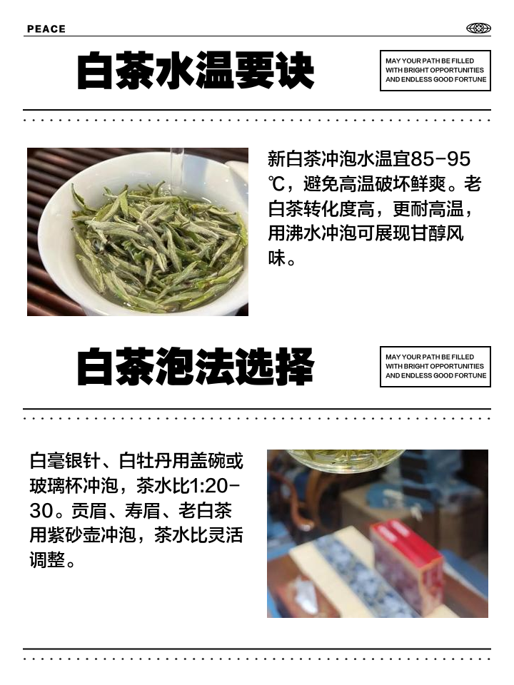 泡白茶的水温度多少最好(泡白茶的水温度多少最好?有三个温度区间) 泡白茶的水温度多少最好(泡白茶的水温度多少最好?有三个温度区间)