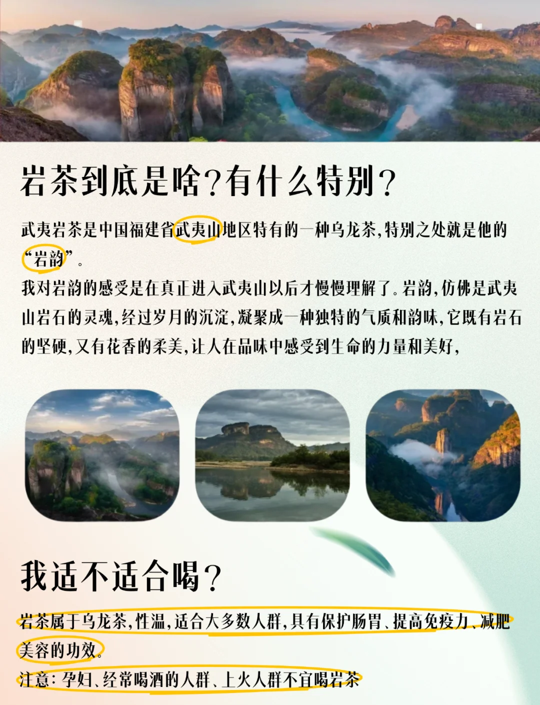 什么是岩茶(岩茶有哪些品类) 什么是岩茶(岩茶有哪些品类)