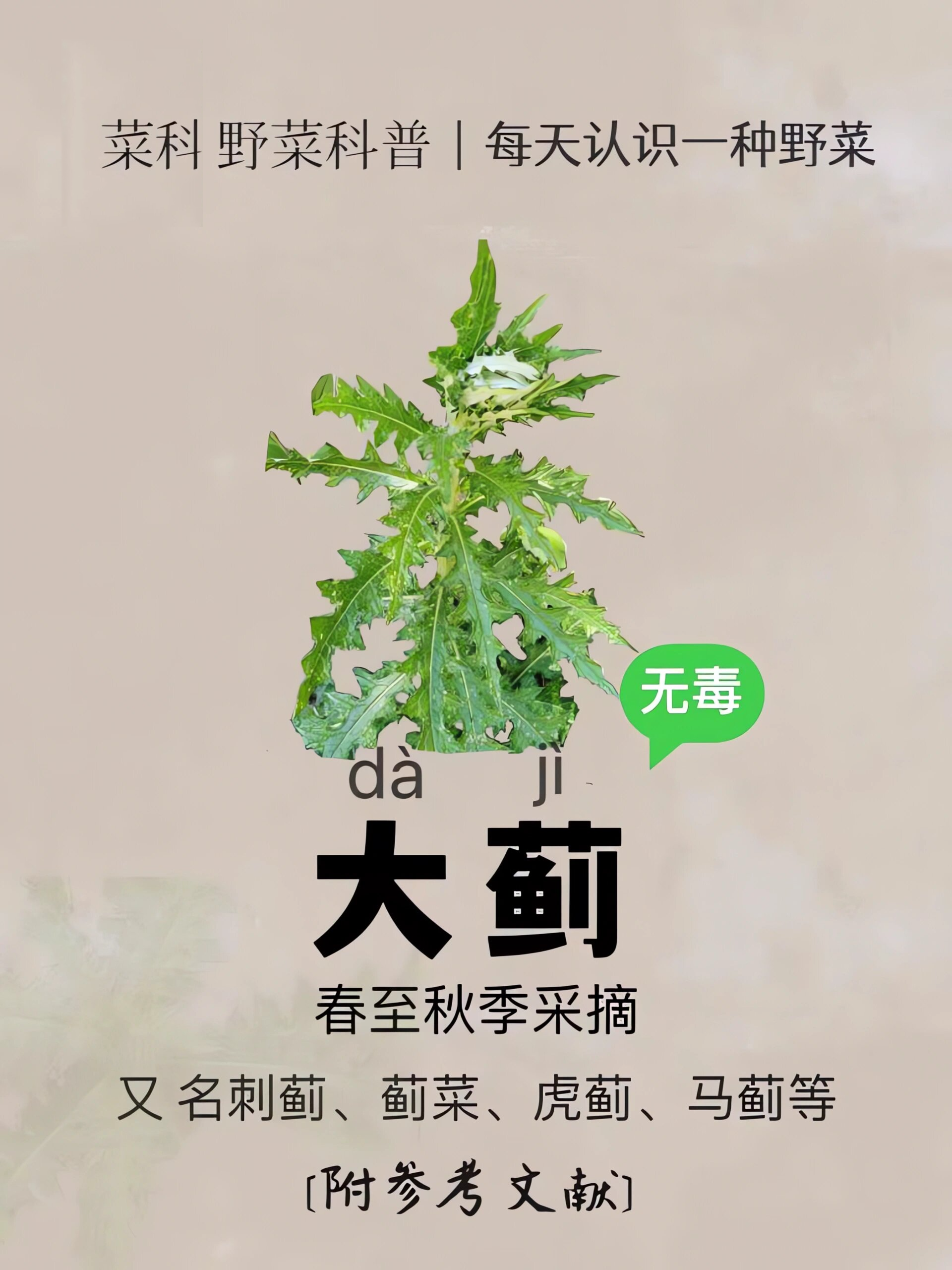 蓟的拼音(蓟的拼音和意思) 蓟的拼音(蓟的拼音和意思)