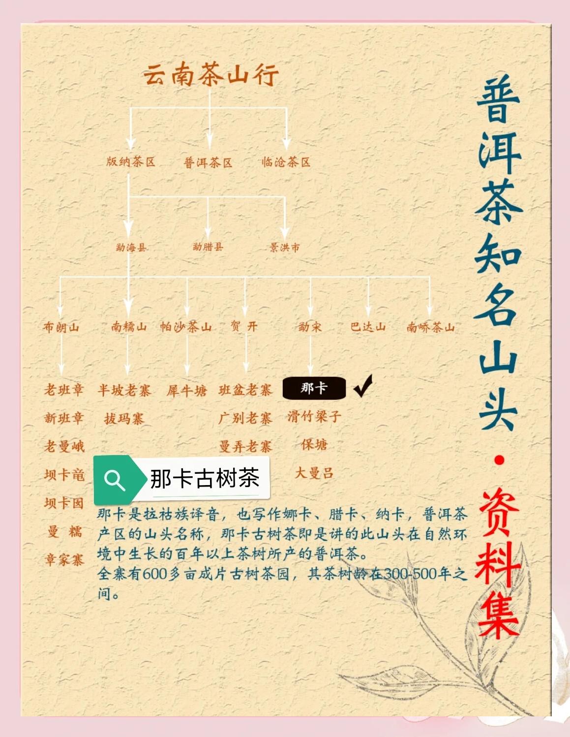 那卡古树茶是哪个产区(那卡古树茶的特点及价格) 那卡古树茶是哪个产区(那卡古树茶的特点及价格)