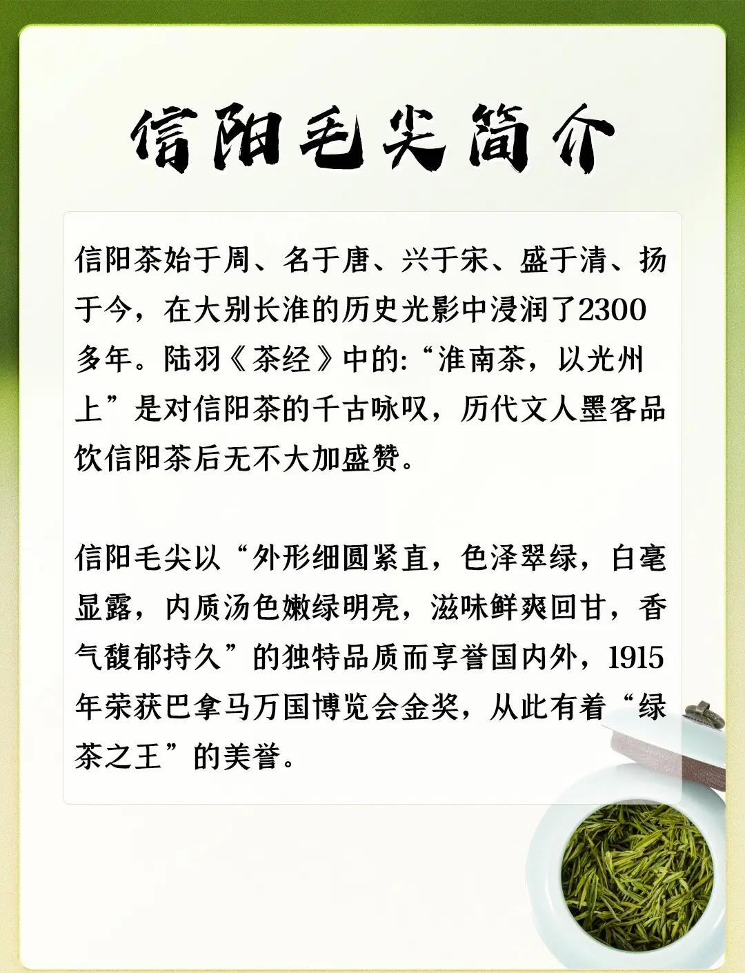 毛尖的功效与作用禁忌(毛尖茶叶的功效与作用大全)