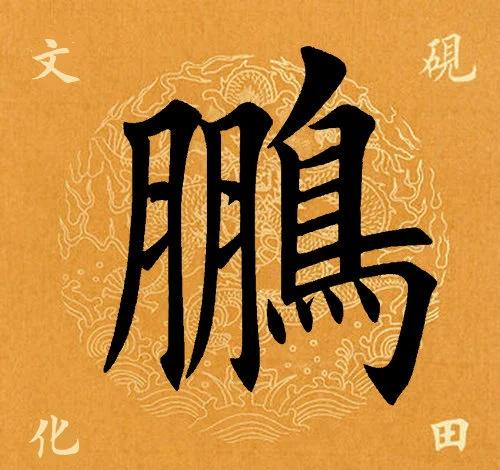 鹏怎么读(鹏怎么读什么意思)