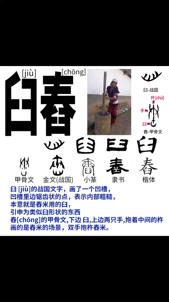 臼怎么读(臼怎么读音正确)