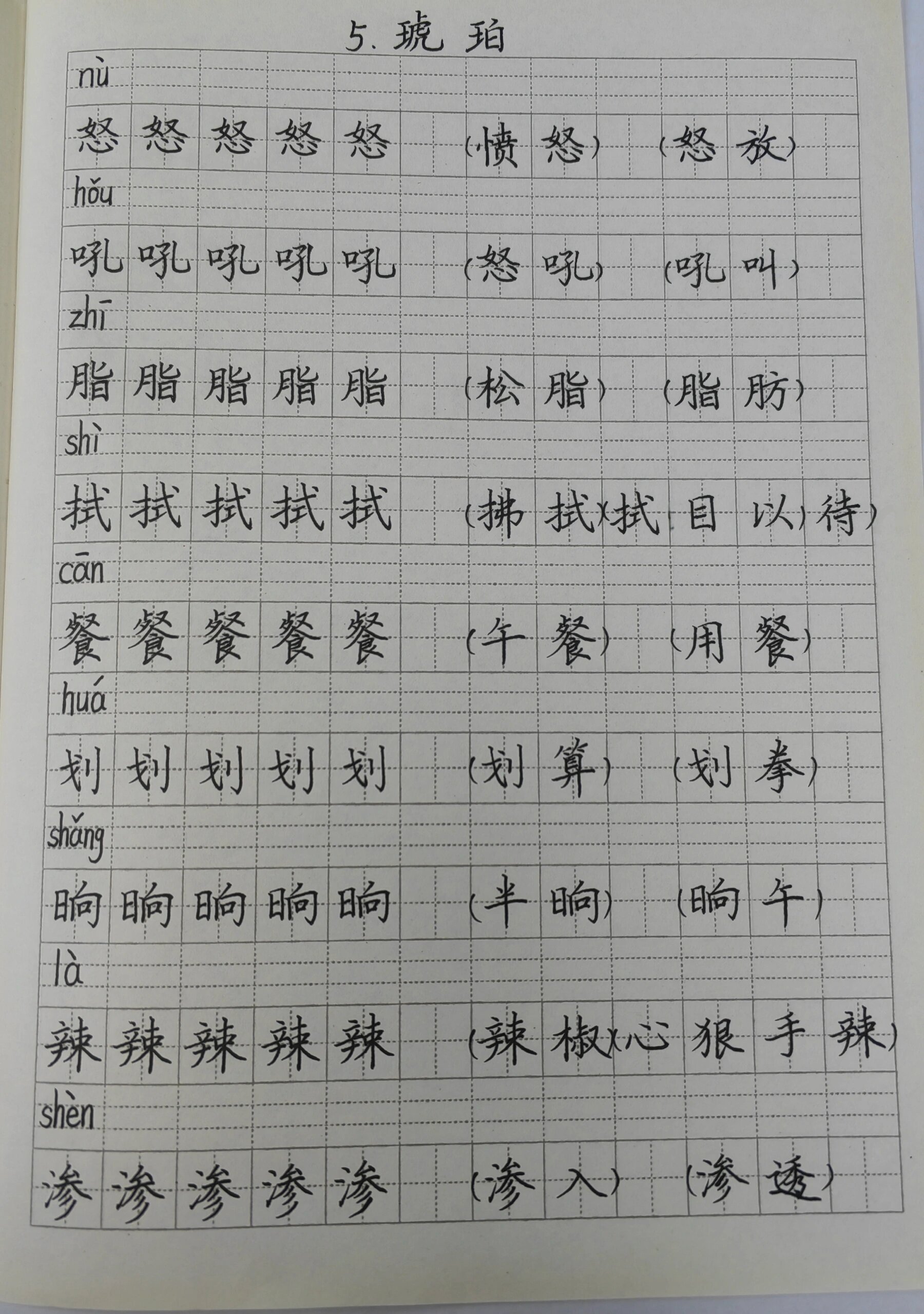 膊的拼音(胳膊的拼音)