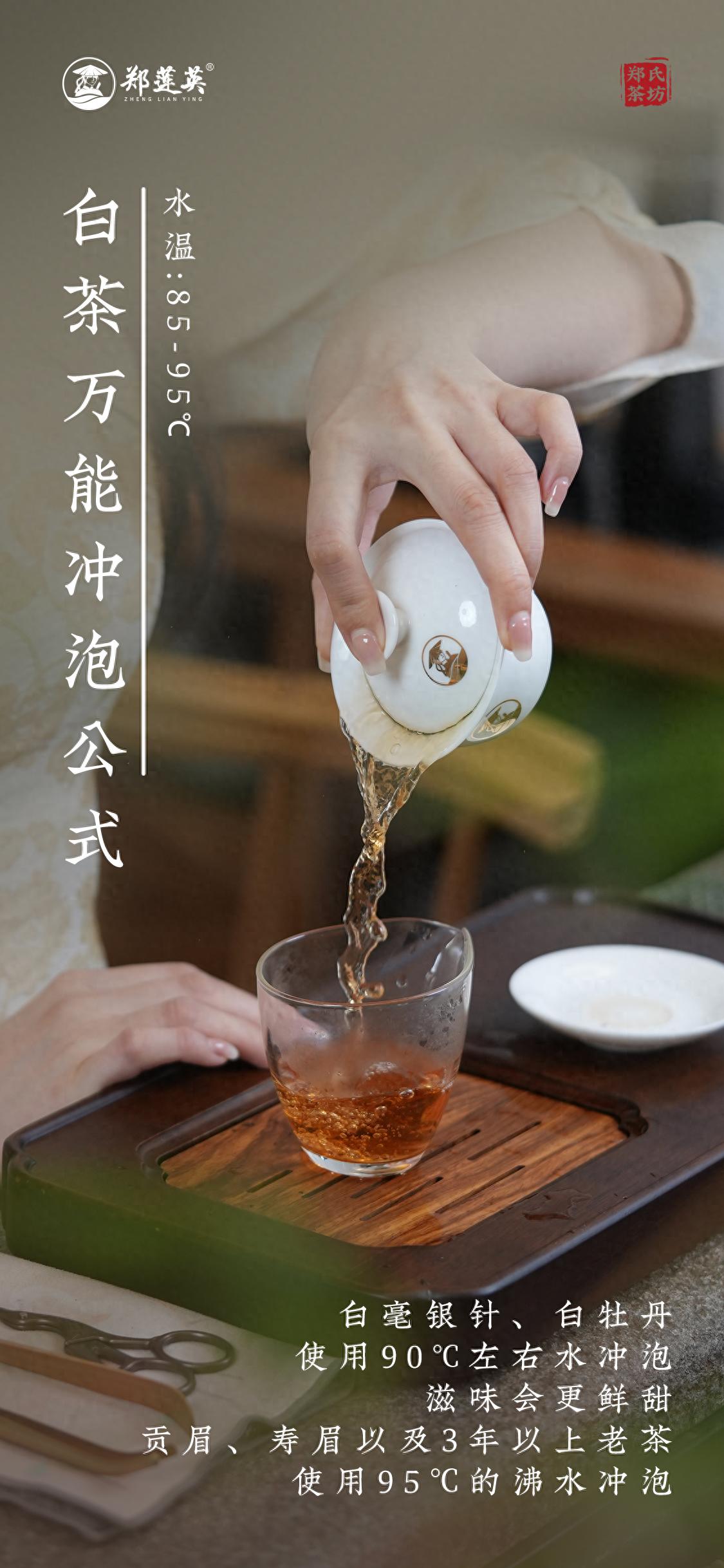 新手学泡茶(新手学泡茶视频教程全集) 新手学泡茶(新手学泡茶视频教程全集)