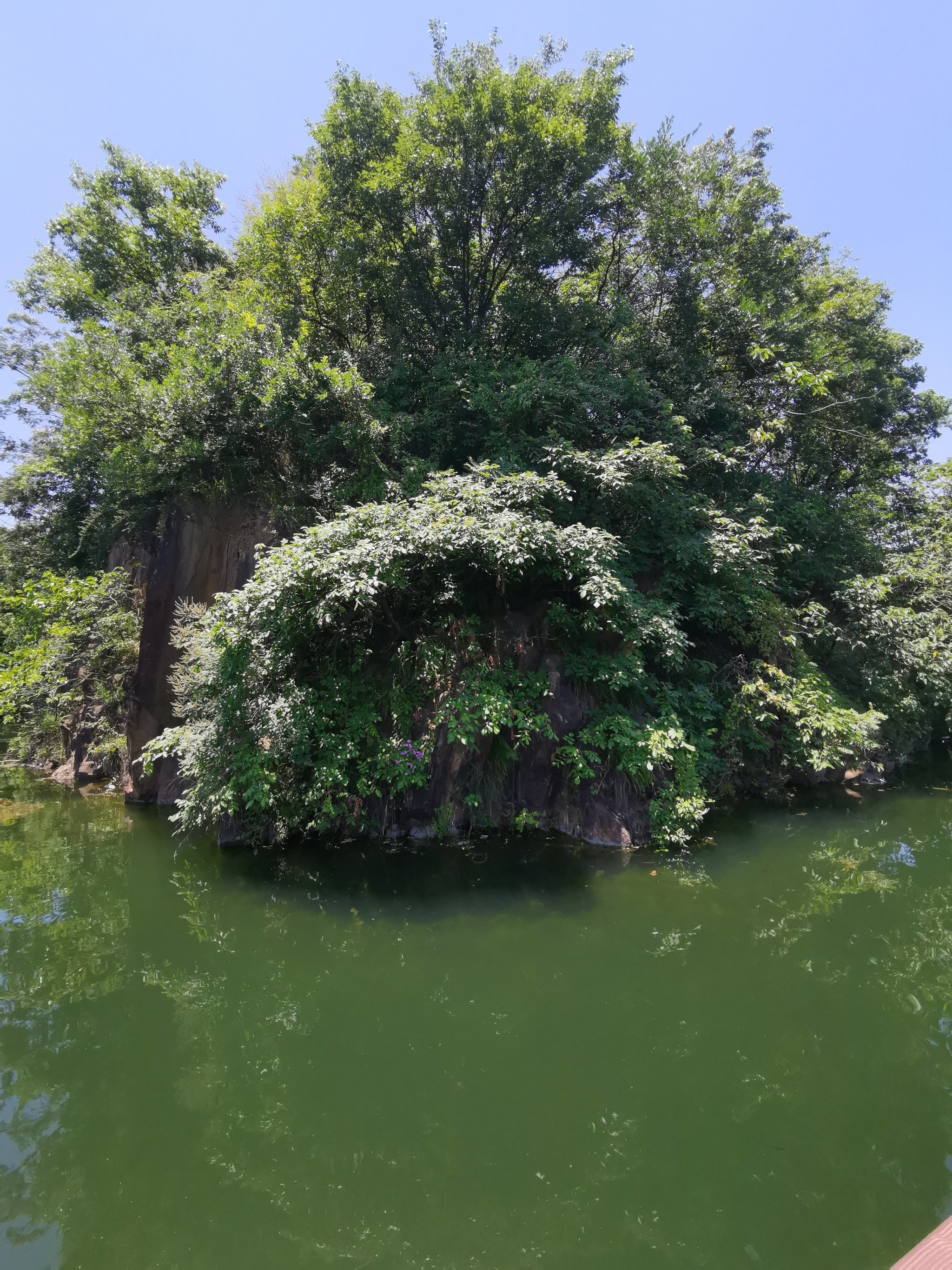 上海周边好玩的地方排行榜(上海周边有啥好玩的景点推荐) 上海周边好玩的地方排行榜(上海周边有啥好玩的景点推荐)