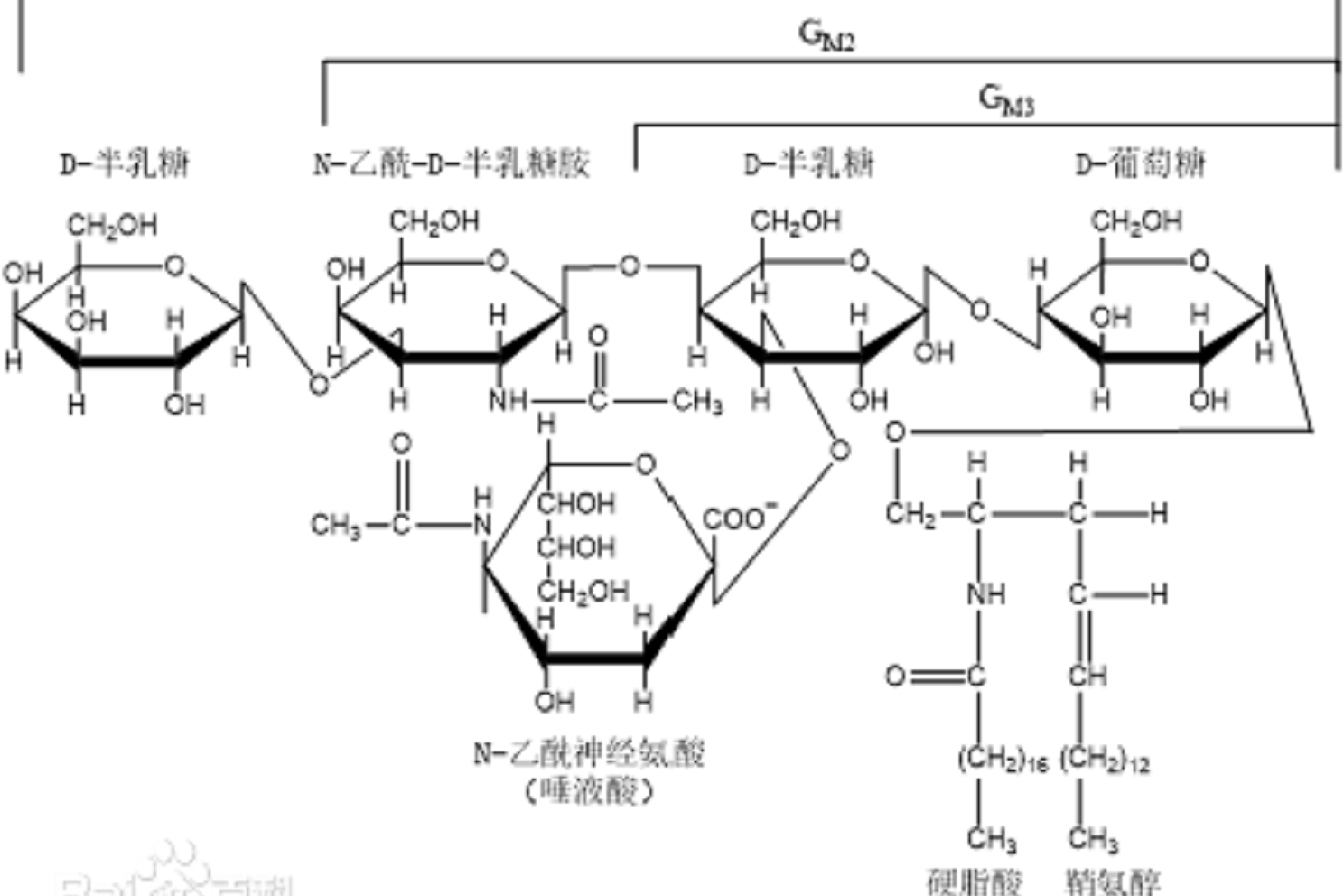 苷(苷的笔顺) 苷(苷的笔顺)