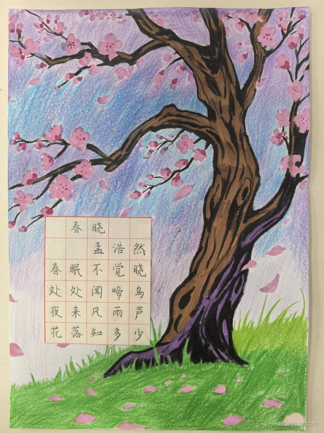 春晓这首诗描写的是什么季节(春晓这首古诗描写的是什么季节的景色)