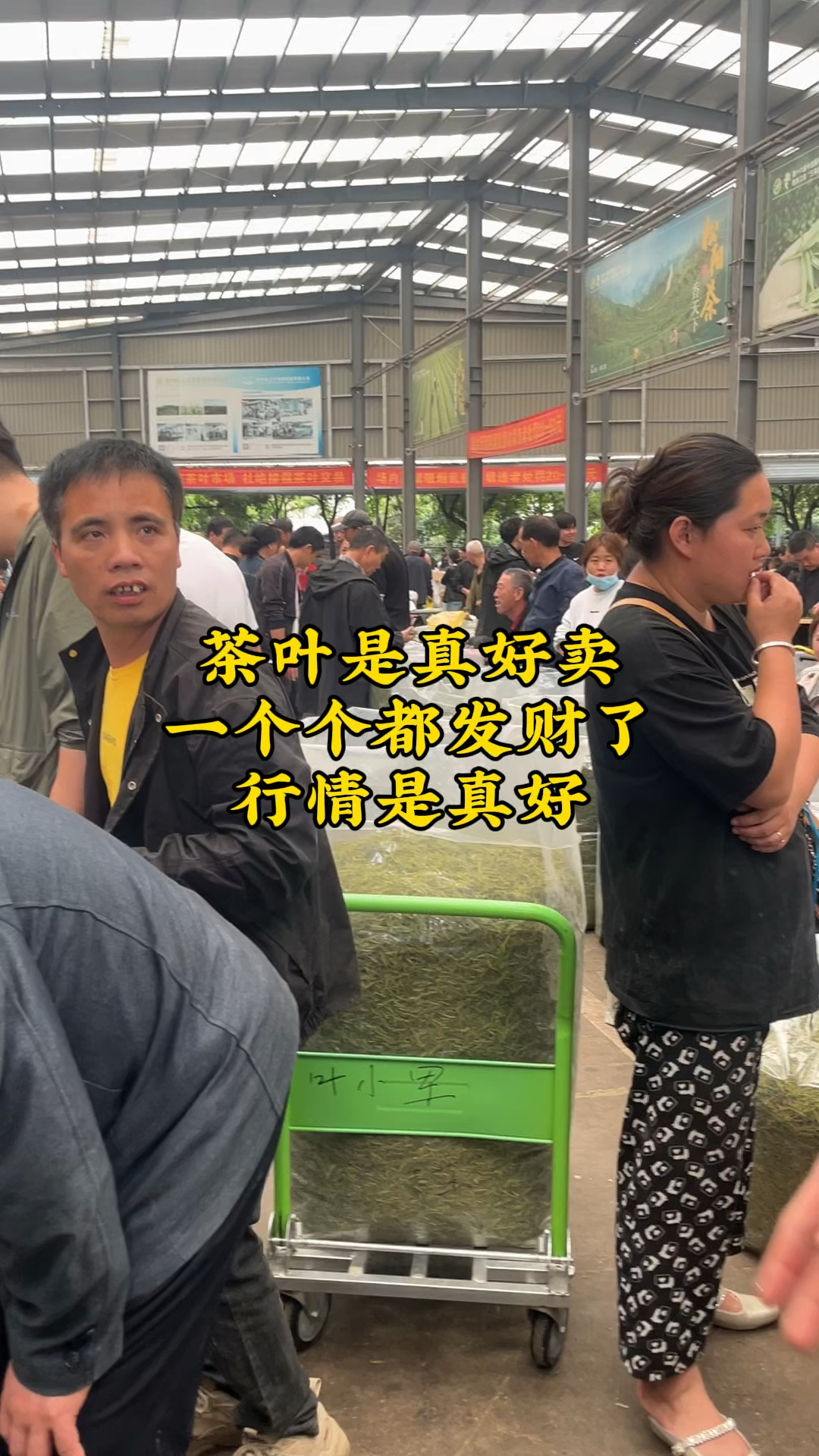 茶叶行情(茶叶行情价格表)