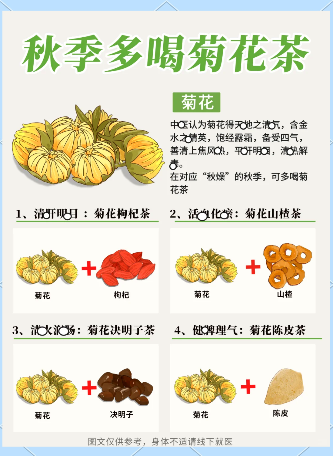 菊花普洱茶的功效(女人喝普洱茶的好处)