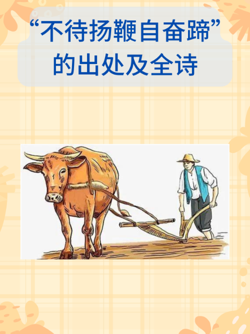 十贯娘子老草吃嫩牛(十贯娘子 173老草吃嫩牛)