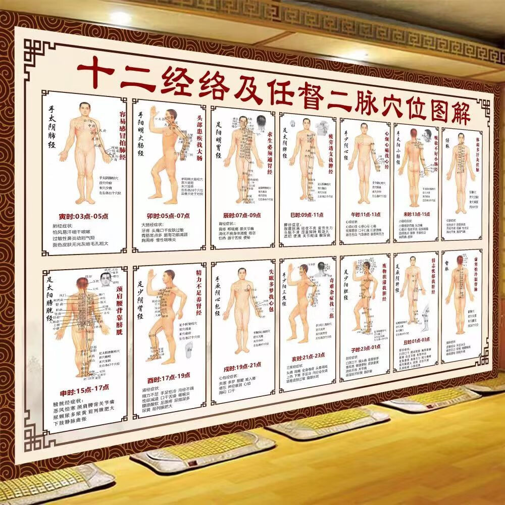 任督二脉的准确位置图(任督二脉的准确位置图承浆穴)