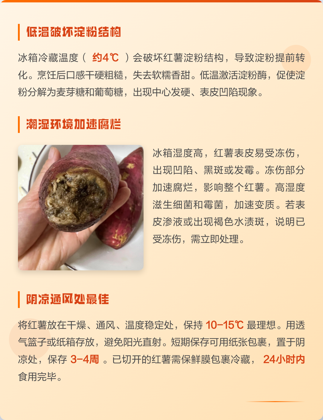地瓜可以放冰箱保存吗(地瓜可以放在冰箱里冷藏吗) 地瓜可以放冰箱保存吗(地瓜可以放在冰箱里冷藏吗)