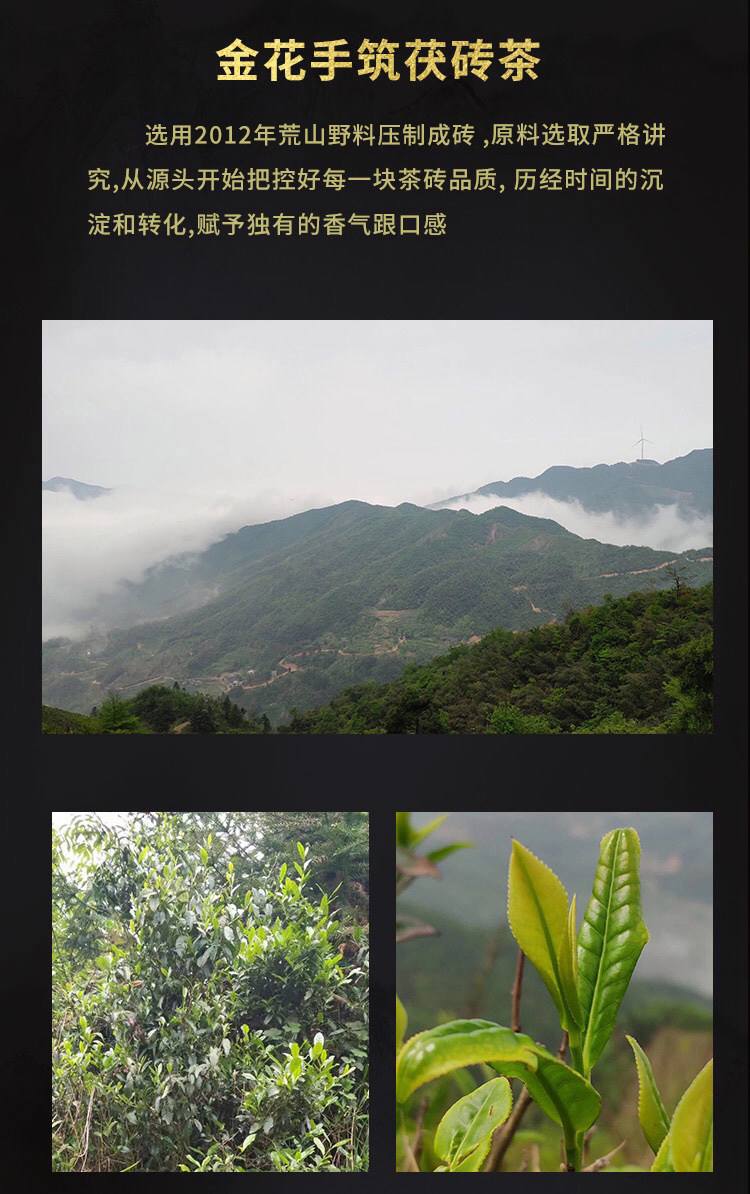 茯砖茶的功效与作用(湖南茯砖茶的功效与作用)