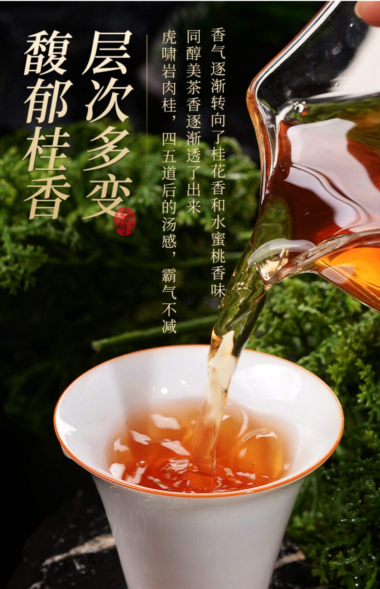 正岩肉桂茶的功效与作用(正岩肉桂茶的功效与作用点)